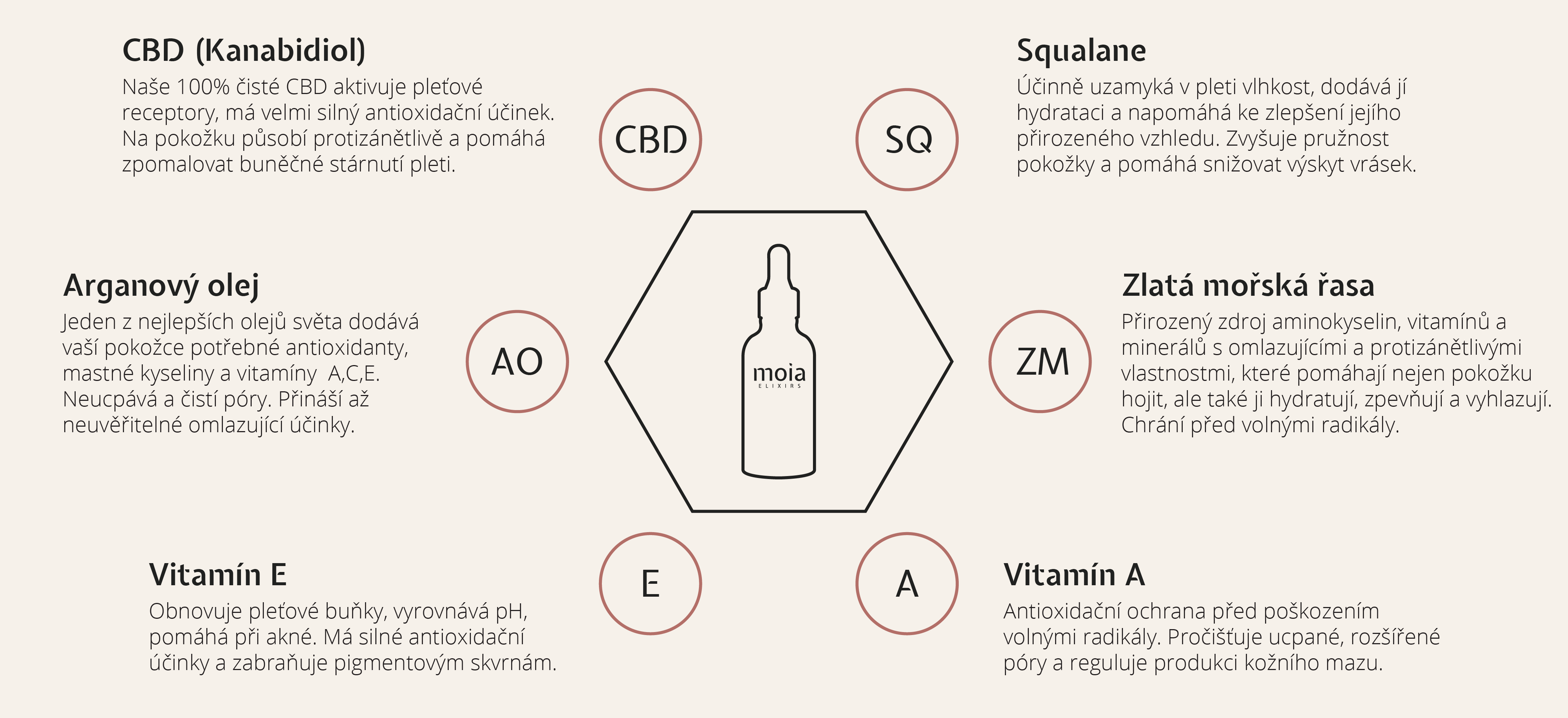 infografika novee-77